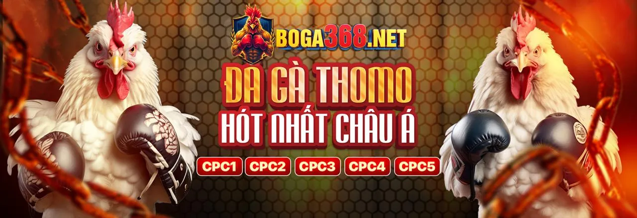 Phân Tích Gà Chiến